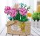 Balody Mini Blocks - hra na stavění květinových košů